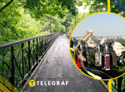 Парковий міст