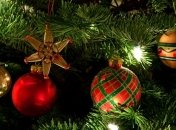 Елки из Канады помогут Панаме решить проблему дефицита 