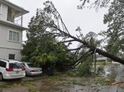 Новый Орлеан сдерживает напор урагана "Исаак" (Фото)