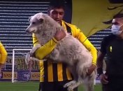 Собака стала звездой матча, похитив бутсу у футболиста (видео)