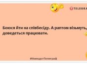 Подумываю сократить свое резюме до фразы "Топ за свои деньги": забавные шутки о собеседованиях на работу