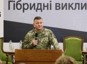 Валерий Залужный