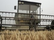 Эксперты снизили прогноз экспорта зерна из Украины на 11%