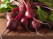 Большой урожай свеклы собрать легко, зная эти правила