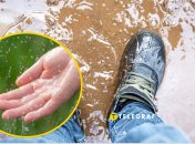 Промокшие ноги