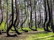 Эти явления природы до сих пор не объяснены учеными 