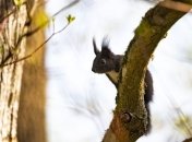 Прогноз погоды на 22 апреля: солнечно, местами до +18° 