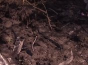 Боевики обстреляли из "Градов" кладбище в Попасной (Видео)