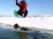 США выступили с инициативой создания заповедника в море Росса