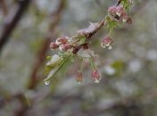 Прогноз погоды на 20 апреля