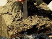 Чилийская полиция конфисковала рекордную партию наркотиков