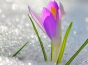 Прогноз погоды на 23 марта в Украине: потепление днем, морозы ночью 