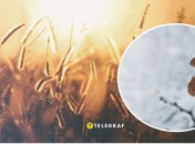 Заморозки в Україні