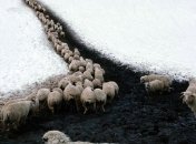 Простая и суровая жизнь пастухов в горах (Фото)