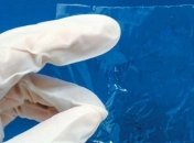 Морская биомасса станет материалом для солнцезащитной пленки