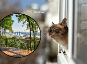 Столицю можуть накрити навіть рясні опади