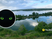 На Дніпропетровщині побачили небезпечного хижака