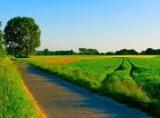 Погода в Украине 1 августа: жарко, солнечно, без осадков