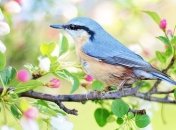 На завтра прогнозують до +18°