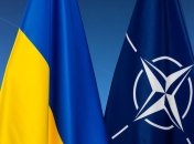 Президент Парламентської асамблеї НАТО провів переговори з українською делегацією