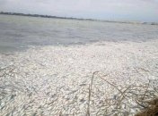 Кількість смертельних водойм в Україні вражаюча