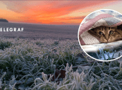 Погода в Україні