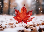 Яке сьогодні свято — Пилипів день