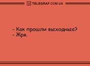 Отвлекитесь на позитив: прикольные анекдоты на вечер