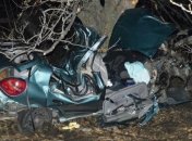 Жуткое ДТП на Днепропетровщине: "Авто смяло, как жестянку"