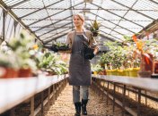 В теплице должен быть порядок