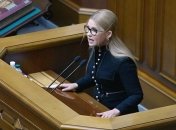 Сломанный микрофон Разумкова: в Раде оценили ущерб от действий Тимошенко