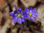 День Иоанна Богослова: история, что можно и что нельзя делать в этот день