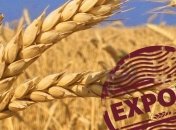 Экспорт зерновых Украиной снизился по сравнению с прошлым годом