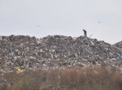 На стихийной свалке под Киевом нашли незаконный львовский мусор