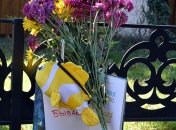 Следствие по делу о пожаре в детском лагере "Виктория" ведется по трем статьям