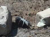 В Широкино началась инженерная разведка заминированных зон