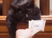 Неделя будет не лучшей для Овнов, Львов, Весов, Стрельцов, Козерогов и Водолеев