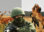 Коллаж "Телеграфа"