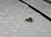 Телеканал удивил "фильмом для взрослых"