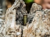 За сутки на Донбассе ранены три военных ВСУ