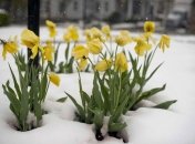 В Україні кінець березня буде прохолодним і навіть морозним