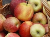 Эксперт: экспорт украинских яблок вырастет на 30%