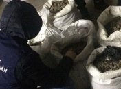 Полиция: в Ровно изъято почти 140 кг янтаря