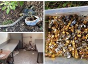 Катівні росіян на Харківщині