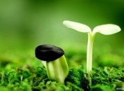 20 мая, примета дня.