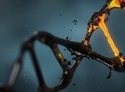 Швейцарские ученые сделали еще один шаг на пути к созданию синтетической жизни