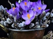 Евтихий Тихий: приметы и обряды на 19 апреля