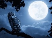 Полнолуние 2018: что нельзя делать 28 числа