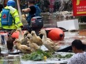 В Китае из-за обильных дождей погибли 8 человек