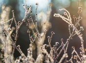 Що не можна робити у Проклів день-2022 — головні заборони